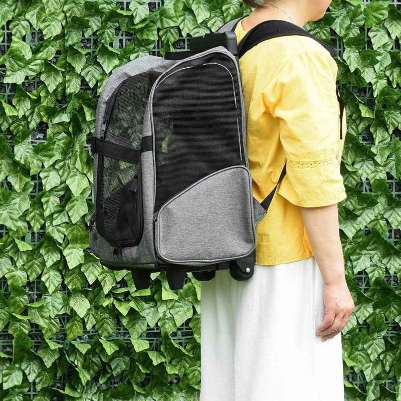 Archie & Oscar Pia Pet Carrier & Reviews Wayfair.co.uk